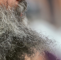 Beard on the face of a man