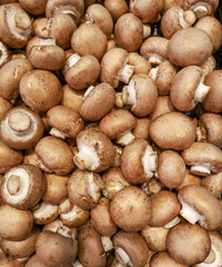 Brown champignons on the counter in the store
