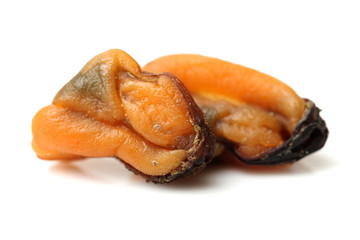 Dry Mussel on white background 