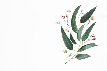 Flowers composition. Eucalyptus leaves and pink flowers on white background. Flat lay, top view, copy space