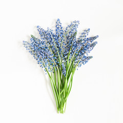 Flowers composition. Blue flowers on white background. Flat lay, top view