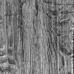 Black and white timber lumber tree wooden wallpaper structure texture background in shades of gray