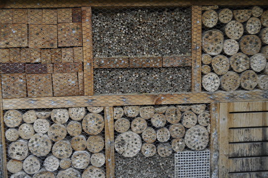 Insekten Hotel