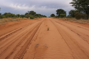 Fototapeta na wymiar Typical wide sand road in the green desert of western Botswana.