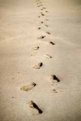 Fototapeta na wymiar Footprints walking on golden beaches on a nice sunny day.