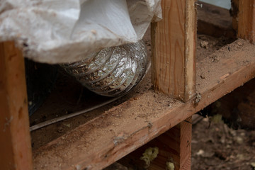 wooden frame work covered in mess and damage from bugs