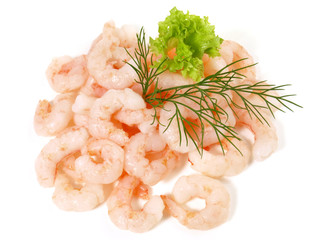 Eismeer Shrimps