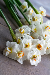 Many beautiful white narcissus are on the wooden background closeup
