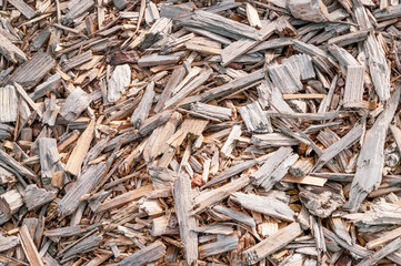 Texture background of fine wood chips