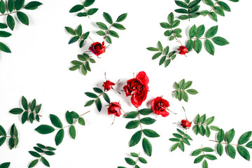 Floral pattern made of red roses, green leaves, branches on white background. Flat lay, top view. Nature background. Pattern of flowers. Flowers pattern texture