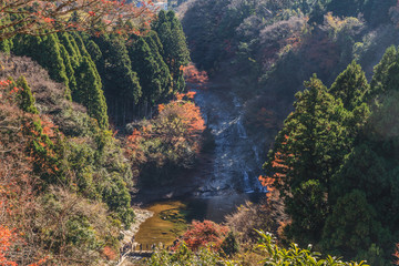 秋の養老渓谷の粟又の滝の風景