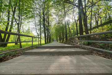 Obraz premium Leaving the footpath in the park