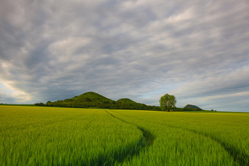 Obraz premium Scenery in Central Bohemian Highlands, Czech Republic.