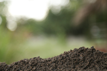 Soil texture with green background for template design