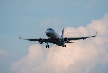 The plane flies through the sky