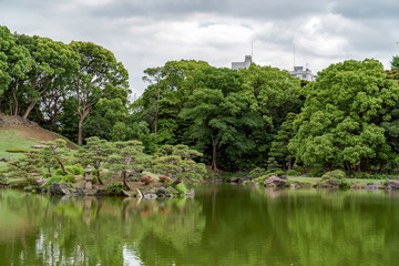 清澄庭園の風景