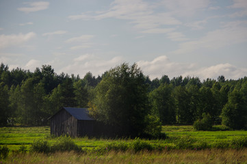 Obraz premium Rural wooden barn in the farm with meadow and forest under sunset sunshine