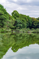 Fototapeta na wymiar 清澄庭園の風景