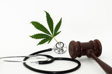 Legalisierung von Cannabis Hanf auf weißem Hintergrund
