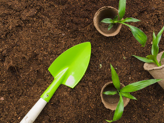 Top view plants with shovel