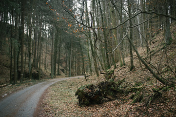 Last signs of winter in Moravsky Kras