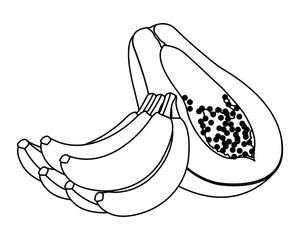 exotic tropical fruit icon cartoon in black and white