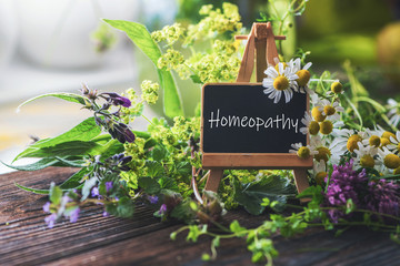 Homeopathy blackboard with medicinal herbs