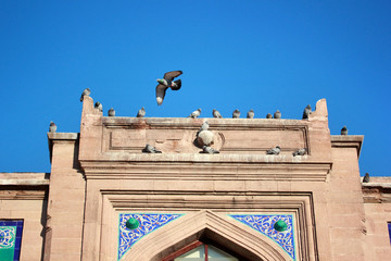 historic stone building and pigeons