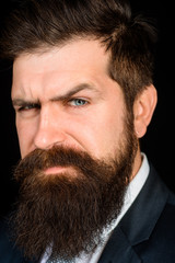 Fototapeta premium Handsome man with beard. Male fashion concept. Bearded man portrait. Handsome stylish bearded man. Sexy male, macho, long beard. Serious bearded business man. Stylish handsome businessman. Close-up.
