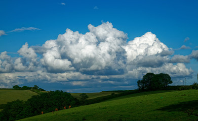 Cloudscape.