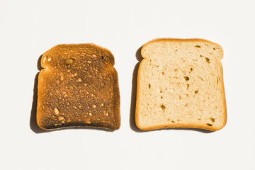Slice of toasted bread