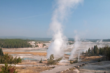 Yellowstone National Park, nature