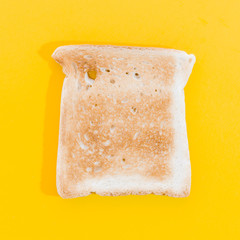 Toasted slice of bread