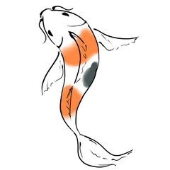 Imitation of ink and watercolour illustration. Koi fish with orange and grey spots. 
