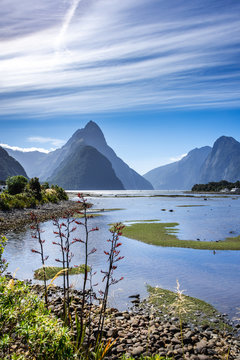 milford sound