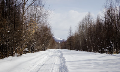 Fototapeta premium Winter forest road in the forest.