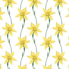 Narcissus - trendy pattern with flowers. Simple colored illustration for prints, clothing, packaging and postcards.