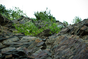 Rocks in macro shot, foreground in focus. Side view.