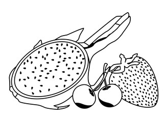 exotic tropical fruit icon cartoon in black and white