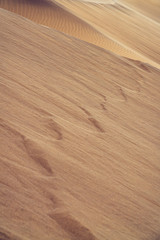 Sand formations on the majestic sand dunes.