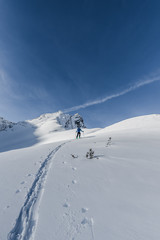 Ski touring the Canadian Rockies