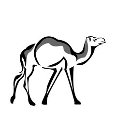 Camel icon stock, flat design. Camel logo