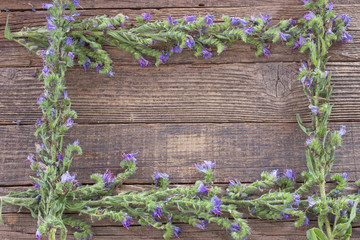 Blue flower frame on wooden background