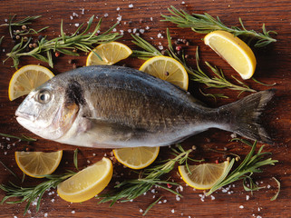 Raw dorado fish with rosemary and sea salt 