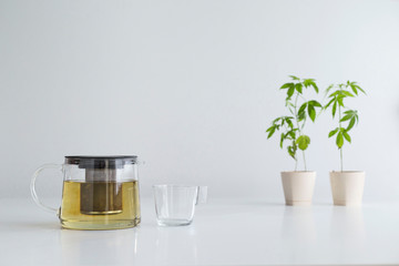 White table with Marijuana plant in pottery. Hot CBD tea in glass and teapot.