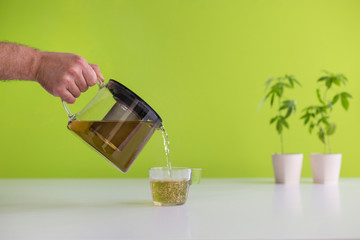 White table with Marijuana plant in pottery. Hand pouring hot CBD tea in to glass.v