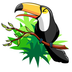 toucan vector design clipart © pisut