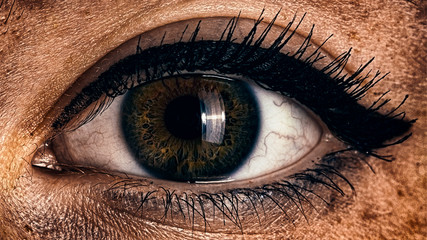 one human green brown female eye close up