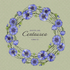 Summer wreath save the date. Blue and purple cornflowers. Vector illustration. Field flowers. Isolated on white background. Summer design for your cards design, banners.