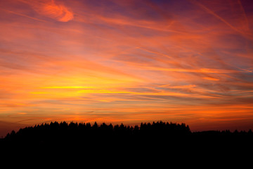 Summer field and trees under a colorful sky. Sunset.